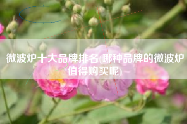 微波炉十大品牌排名(哪种品牌的微波炉值得购买呢)