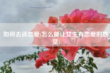 如何去谈恋爱(怎么能让女生有恋爱的感觉)