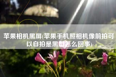 苹果相机黑屏(苹果手机照相机像前拍可以自拍是黑屏怎么回事)
