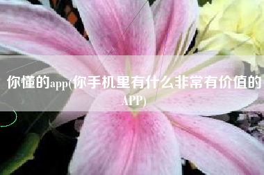 你懂的app(你手机里有什么非常有价值的APP)