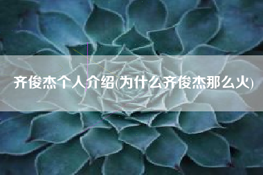 齐俊杰个人介绍(为什么齐俊杰那么火)