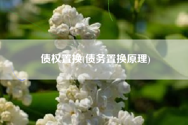 债权置换(债务置换原理)