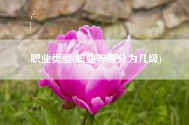 职业类型(职业等级分为几级)