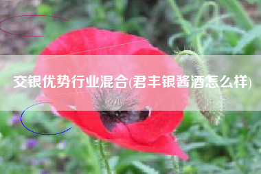 交银优势行业混合(君丰银酱酒怎么样)