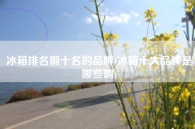 冰箱排名前十名的品牌(冰箱十大品牌是哪些啊)