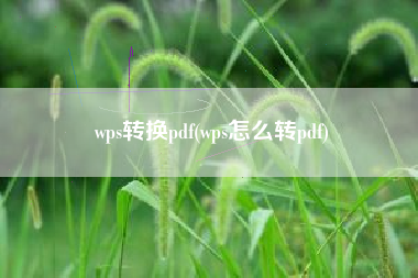 wps转换pdf(wps怎么转pdf)