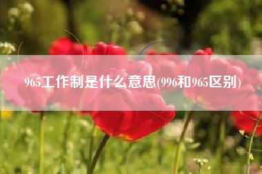 965工作制是什么意思(996和965区别)