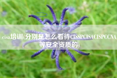 cisa培训(分别是怎么看待CISSPCISACISPCCNA等安全资质的)