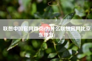联想中国官网首页(为什么联想官网比京东便宜)