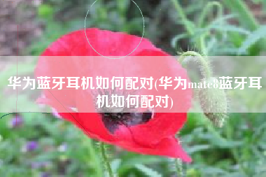 华为蓝牙耳机如何配对(华为mate8蓝牙耳机如何配对)