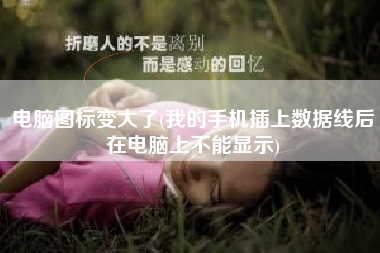 电脑图标变大了(我的手机插上数据线后在电脑上不能显示)