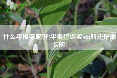 什么平板电脑好(平板建议买wifi的还是插卡的)