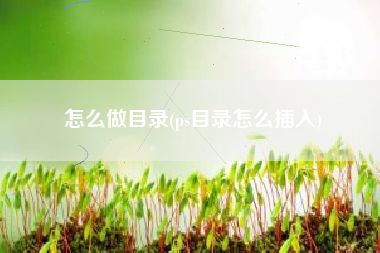 怎么做目录(ps目录怎么插入)