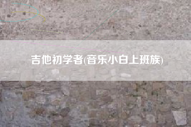 吉他初学者(音乐小白上班族)