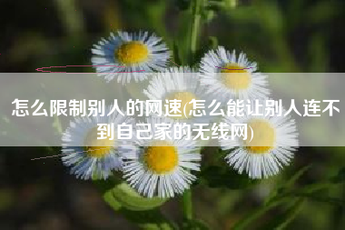 怎么限制别人的网速(怎么能让别人连不到自己家的无线网)