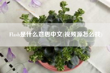 Flash是什么意思中文(视频源怎么找)