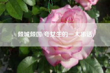 倾城倾国(夸女生的一大串话)