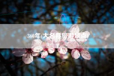 360年(大名县旅游景点)