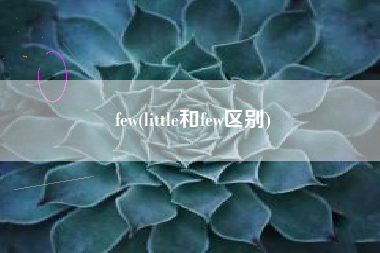 few(little和few区别)