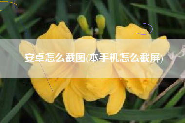 安卓怎么截图(本手机怎么截屏)