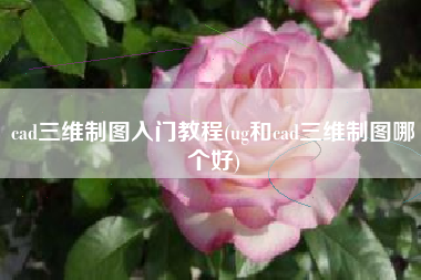 cad三维制图入门教程(ug和cad三维制图哪个好)