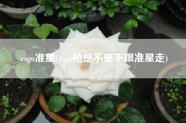 csgo准星(csgo枪是不是不跟准星走)