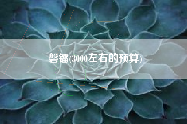 磐镭(3000左右的预算)