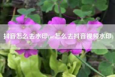 抖音怎么去水印(ae怎么去抖音视频水印)
