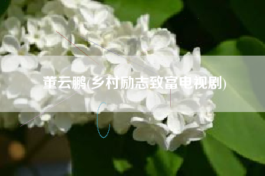 董云鹏(乡村励志致富电视剧)