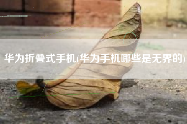 华为折叠式手机(华为手机哪些是无界的)