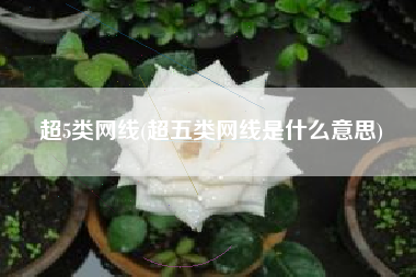 超5类网线(超五类网线是什么意思)