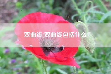 双曲线(双曲线包括什么)