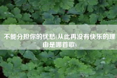 不能分担你的忧愁(从此再没有快乐的理由是哪首歌)