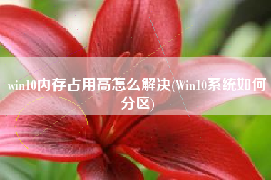 win10内存占用高怎么解决(Win10系统如何分区)