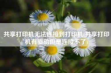共享打印机无法连接到打印机(共享打印机有驱动但是连接不了)