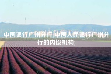 中国银行广州分行(中国人民银行广州分行的内设机构)