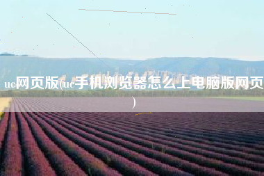 uc网页版(uc手机浏览器怎么上电脑版网页)