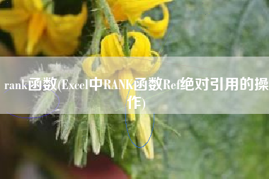 rank函数(Excel中RANK函数Ref绝对引用的操作)