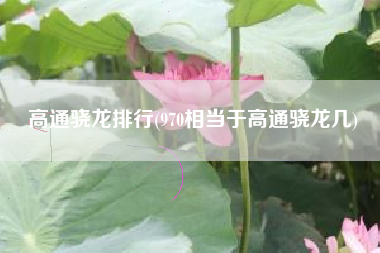 高通骁龙排行(970相当于高通骁龙几)