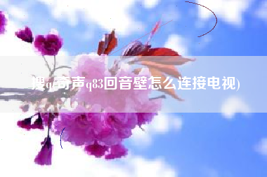 搜q(奇声q83回音壁怎么连接电视)