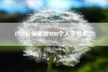 4253(社保基数4253个人承担多少)