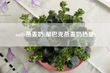 详细阅读:oatly燕麦奶(星巴克燕麦奶热量) oatly燕麦奶(星巴克燕麦奶热量)