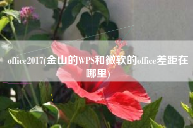 office2017(金山的WPS和微软的office差距在哪里)