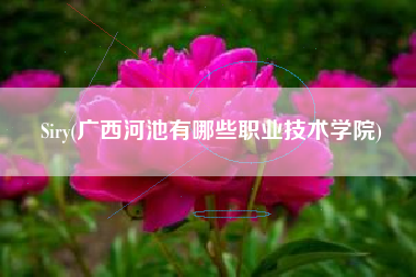 Siry(广西河池有哪些职业技术学院)