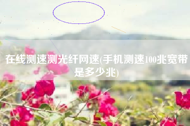 在线测速测光纤网速(手机测速100兆宽带是多少兆)