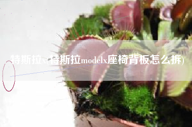 特斯拉x(特斯拉modelx座椅背板怎么拆)