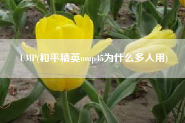 UMP(和平精英ump45为什么多人用)