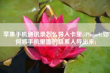 苹果手机通讯录怎么导入卡里(iPhone12如何将手机里面的联系人导出来)