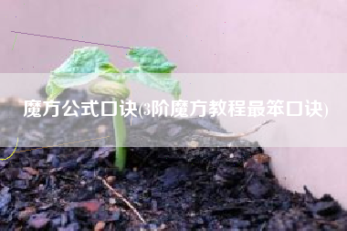 魔方公式口诀(3阶魔方教程最笨口诀)