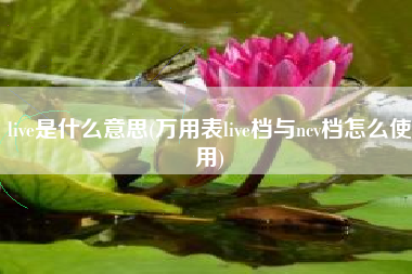 live是什么意思(万用表live档与ncv档怎么使用)